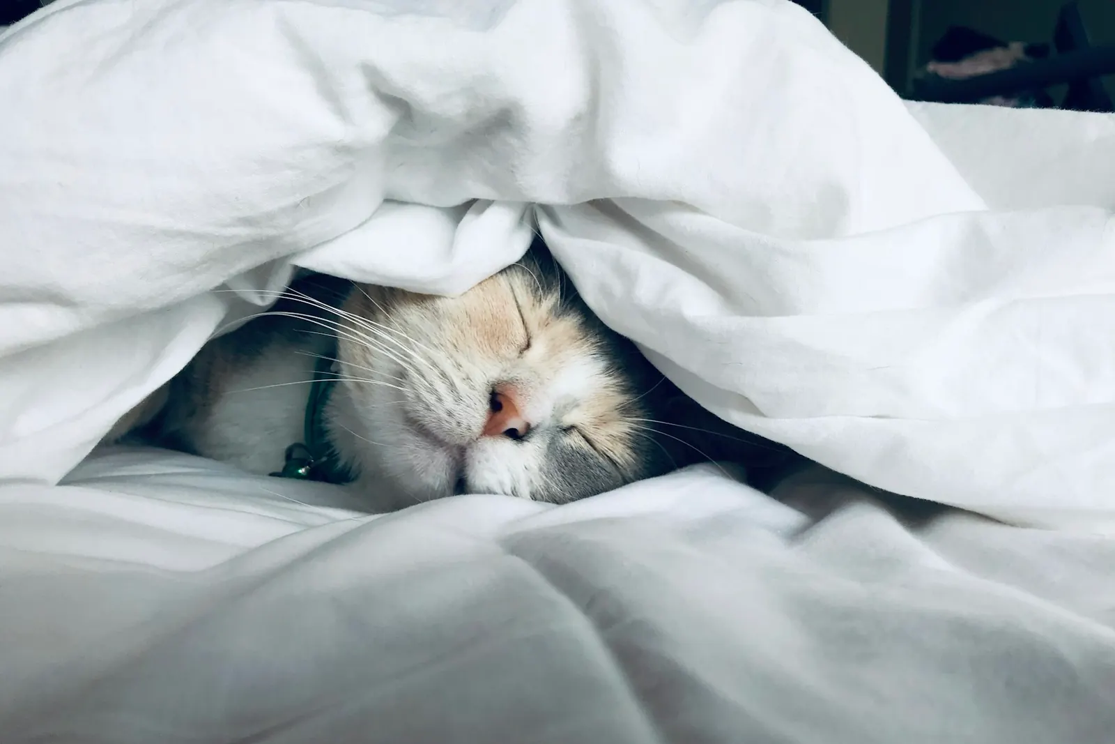 Sonno e Ipertrofia, il tuo più grande alleato anabolico
